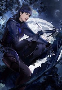 暗夜陨落